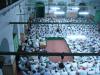 Khatam Sahih al-Bukhari Deoband
