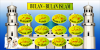Bulan Islam